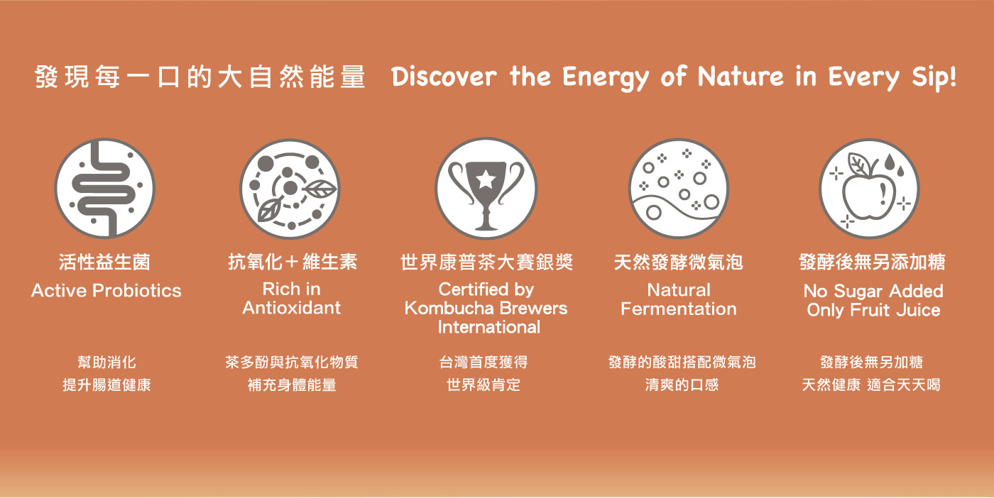好菌好俊康普茶_為什麼要喝康普茶_kombucha