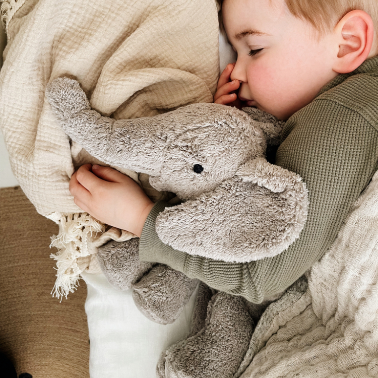 Senger Naturwelt,安撫娃娃,抱抱鵝,陪睡鵝,熊熊,海豹,娃娃,育兒,親子,玩具,禮物