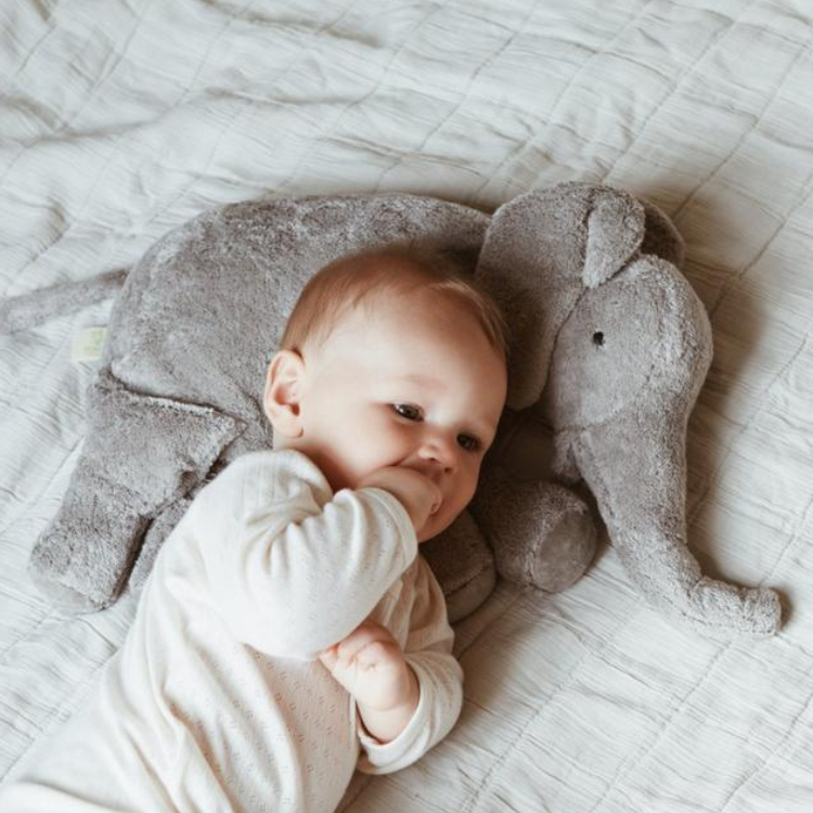 Senger Naturwelt,安撫娃娃,抱抱鵝,陪睡鵝,熊熊,海豹,娃娃,育兒,親子,玩具,禮物