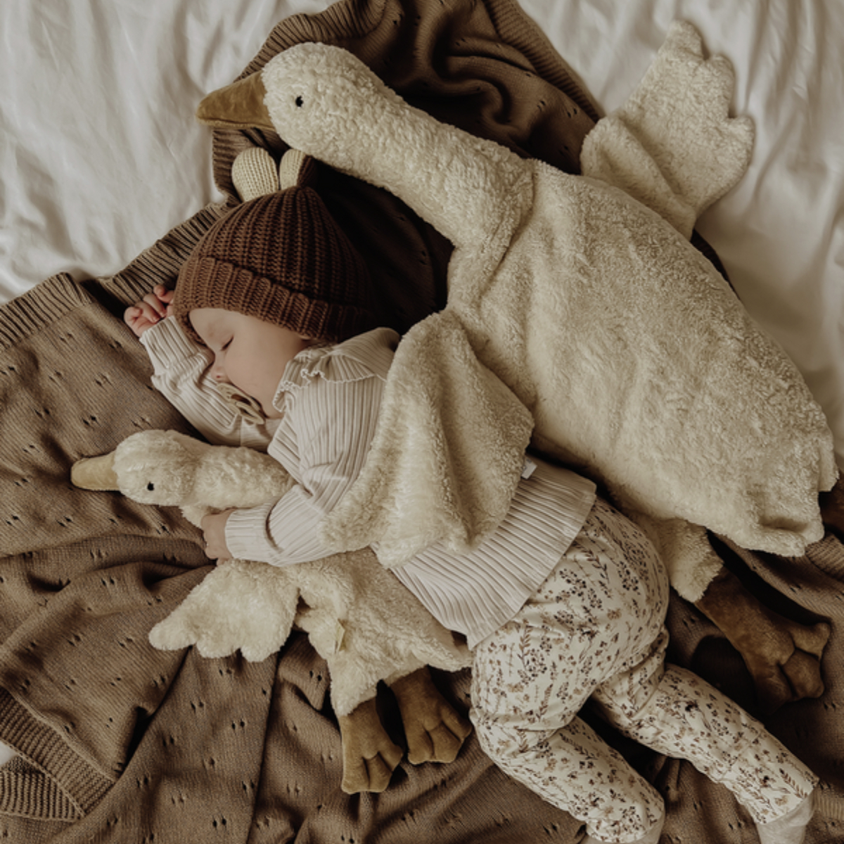 Senger Naturwelt,安撫娃娃,抱抱鵝,陪睡鵝,熊熊,海豹,娃娃,育兒,親子,玩具,禮物