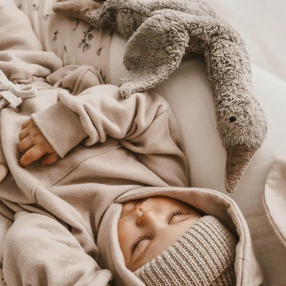 Senger Naturwelt,安撫娃娃,抱抱鵝,陪睡鵝,熊熊,海豹,娃娃,育兒,親子,玩具,禮物