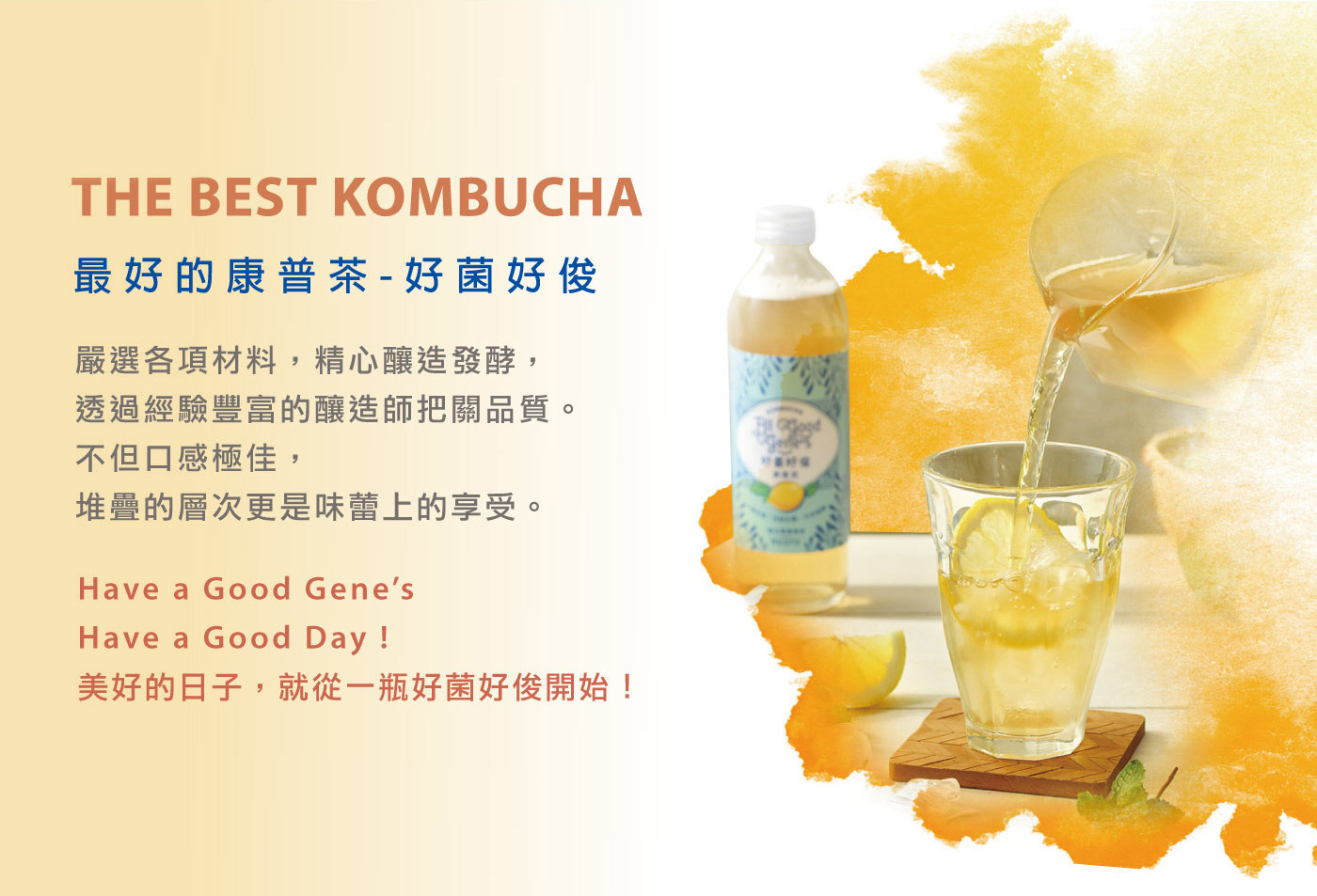 好菌好俊康普茶_最好喝的康普茶