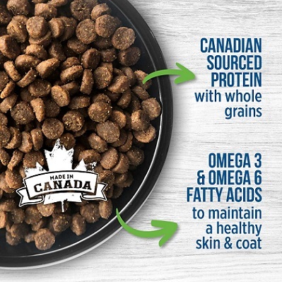 Nutrience 經典系列 幼貓 2.5kg