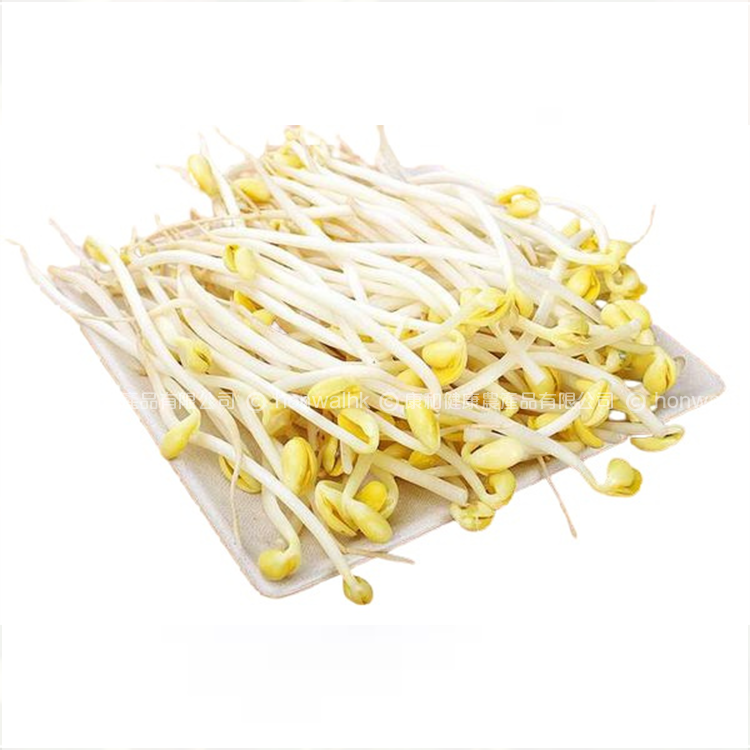 本地有機元朗大棠大豆芽