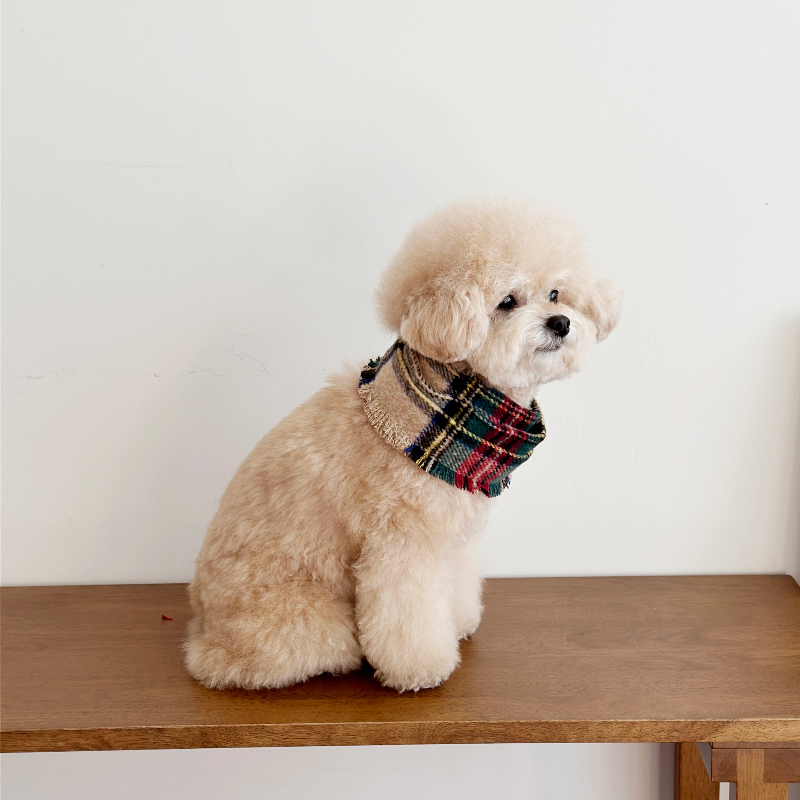 EYOU Merry Merry 圍巾