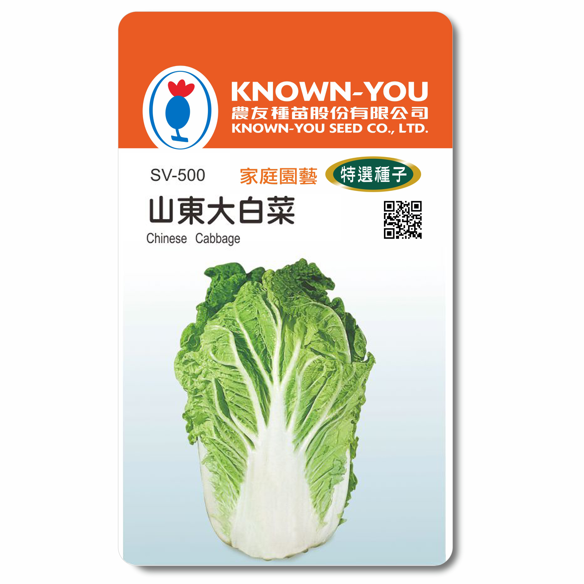 特選蔬果種子SV-500山東大白菜Chinese Cabbage