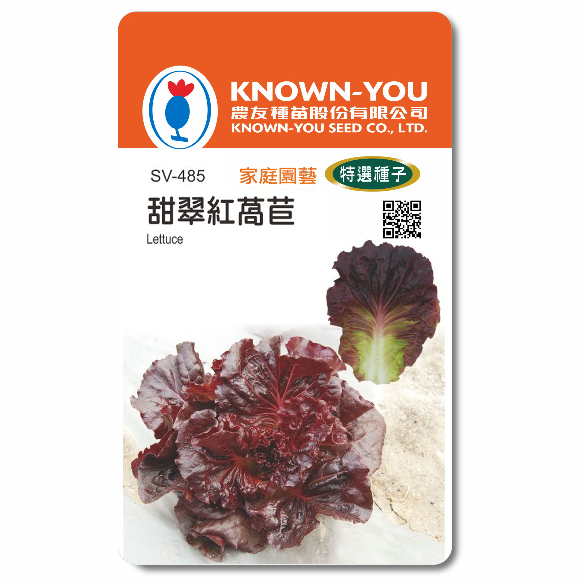 特選蔬果種子SV-485甜脆紅萵苣Lettuce
