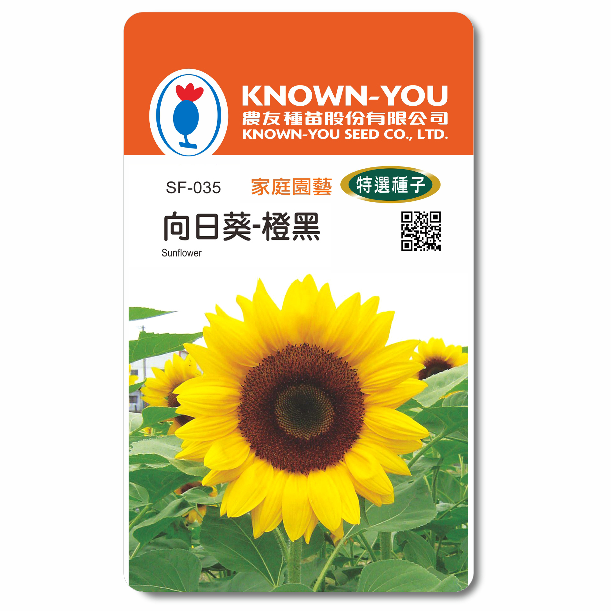 特選花卉種子SF-035向日葵「橙黑」