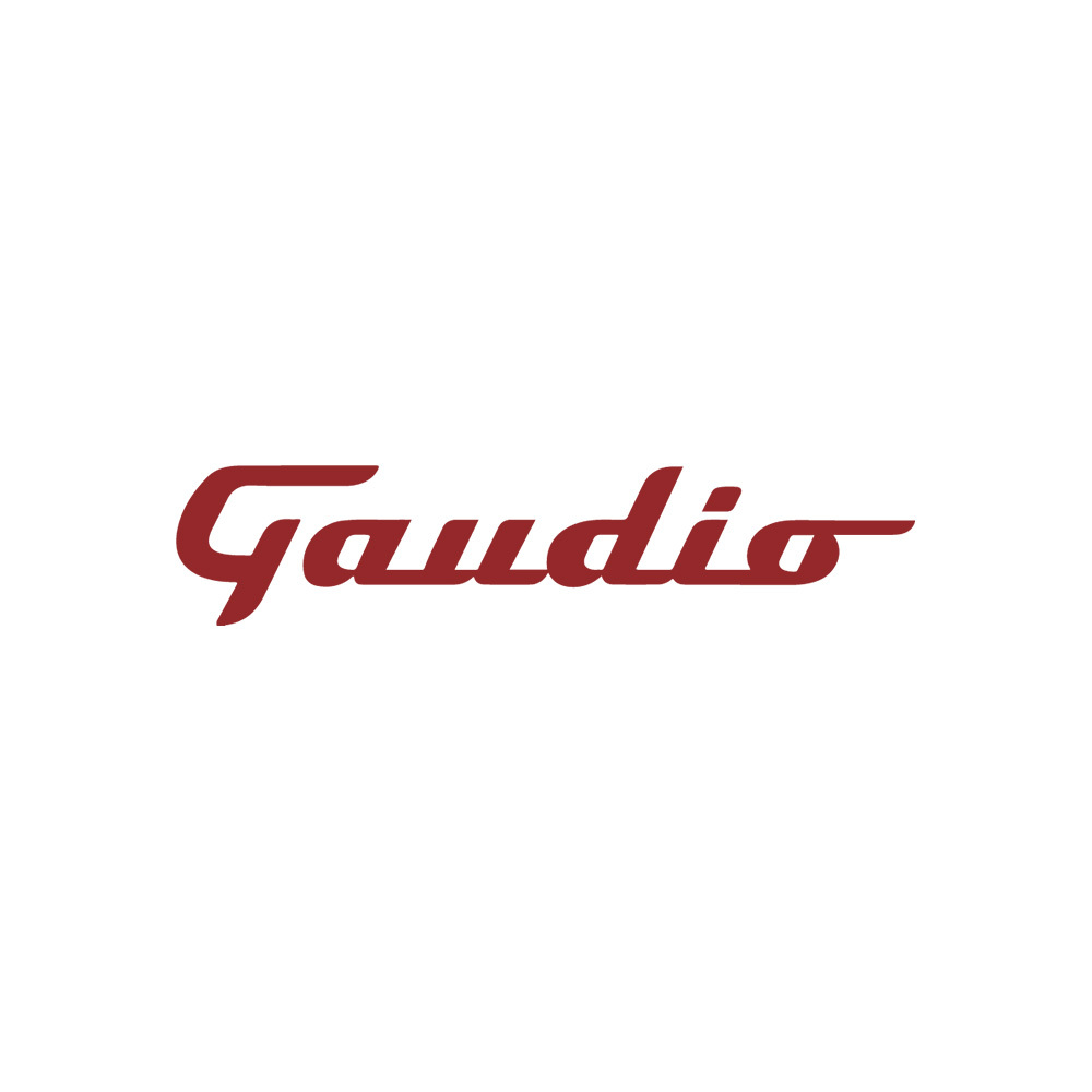 Gaudio Audio logo