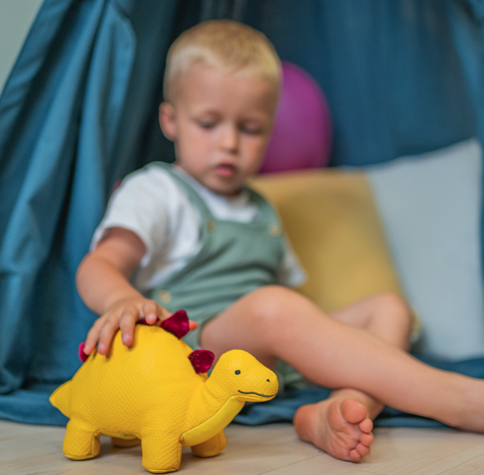 Steffy the Stegosaurus_Little Big Friends