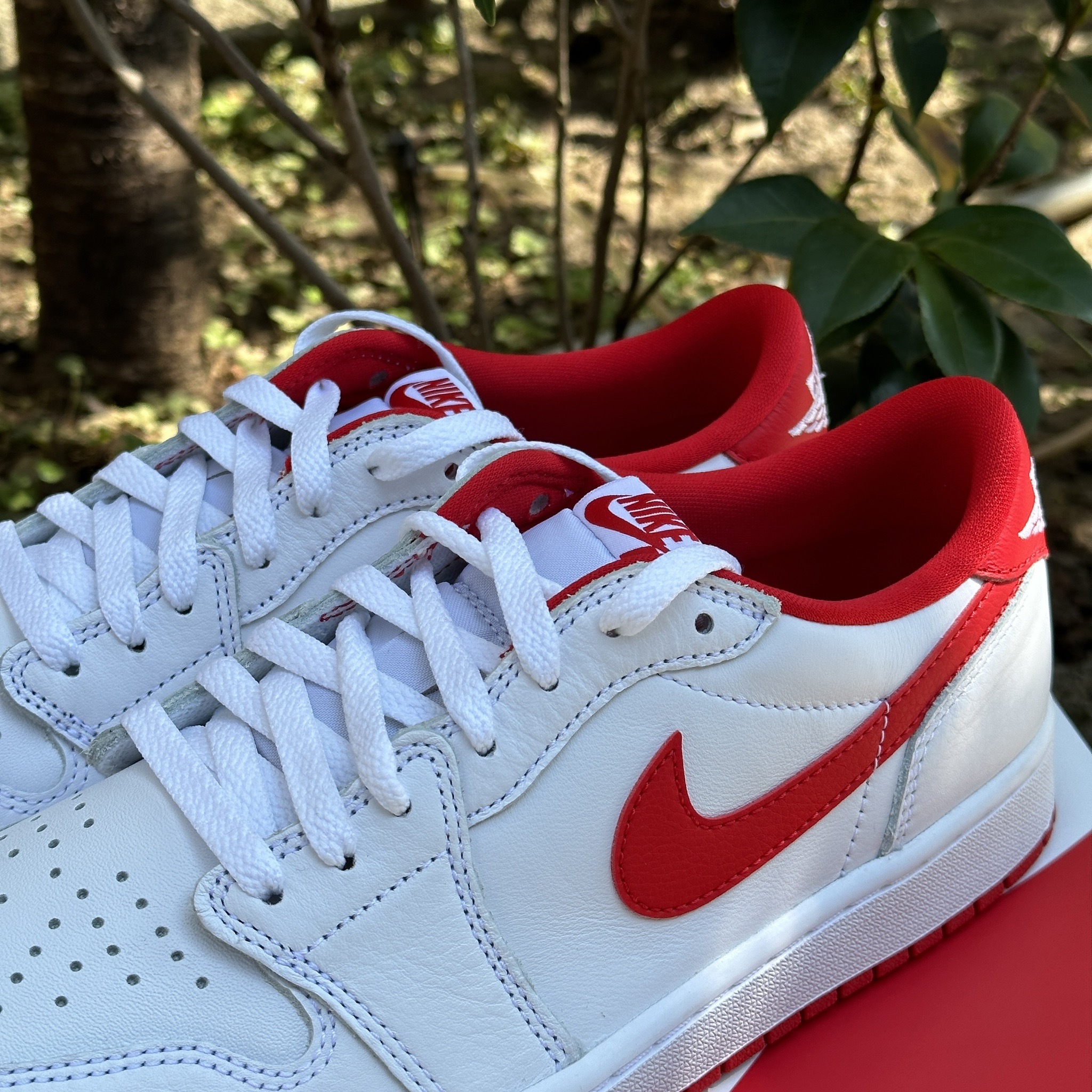 高級素材使用ブランド Nike NIKE Air Red Jordan Retro 1 Low