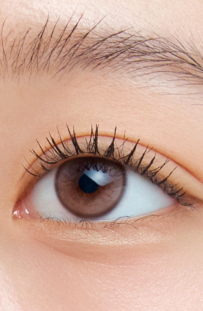 [日拋] Hapa Kristin 1 Day Wake Up Kristin  DAWN Brown 曙光棕  |每盒10片