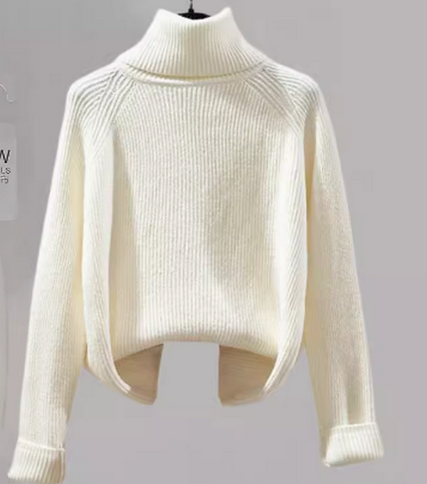 Turtleneck sweater top (T986)