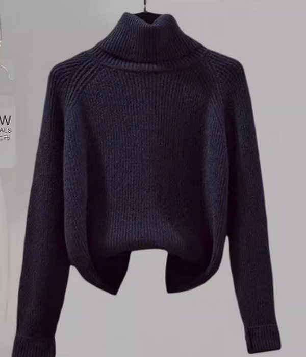 Turtleneck sweater top (T986)