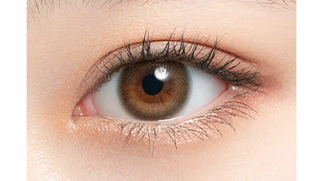 [散光] Mimuco 1 Day Brown Foudue 日拋有色彩妝隱形眼鏡｜每盒10片