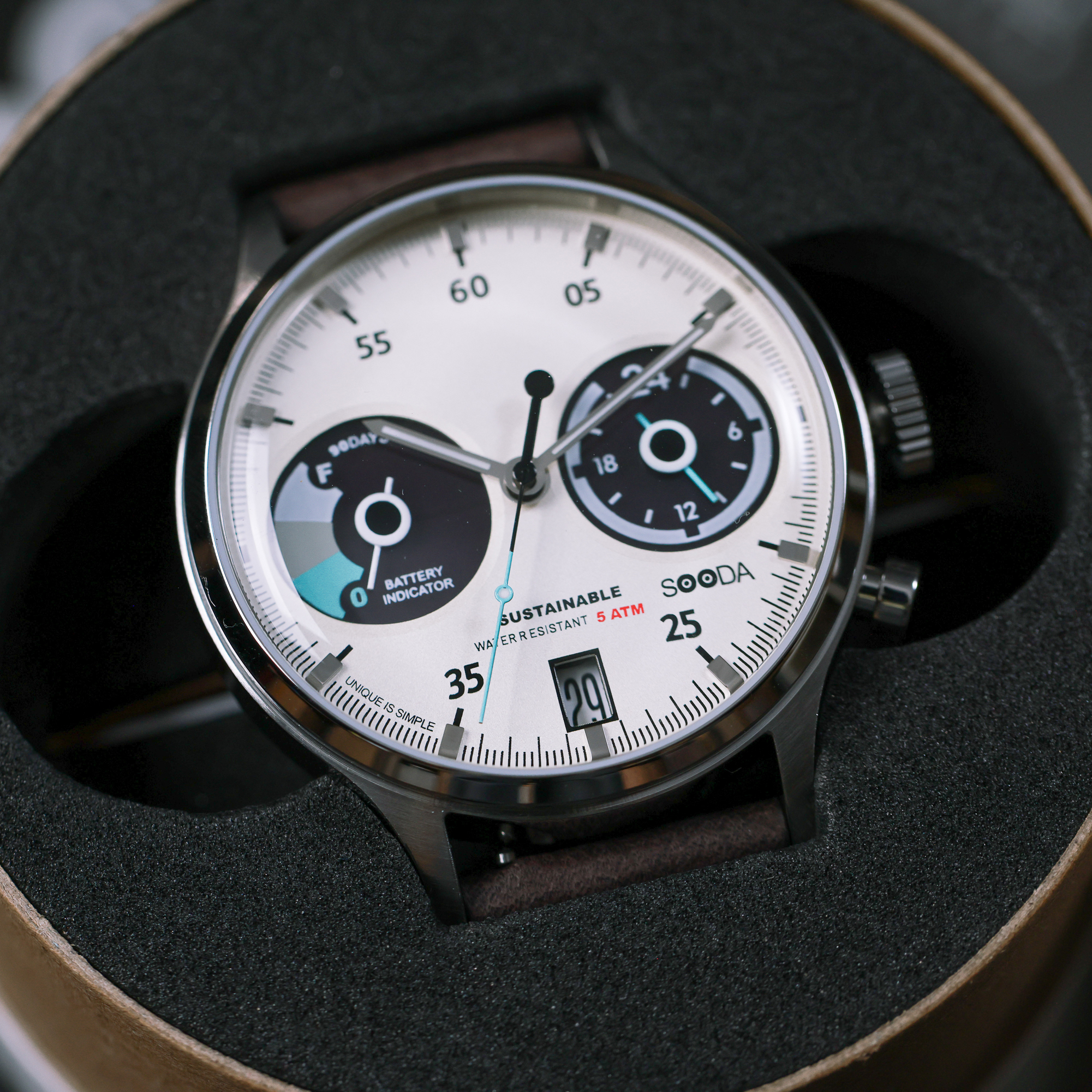 TACS Sooda 太陽能 熊貓面 皮帶錶 TS2302B