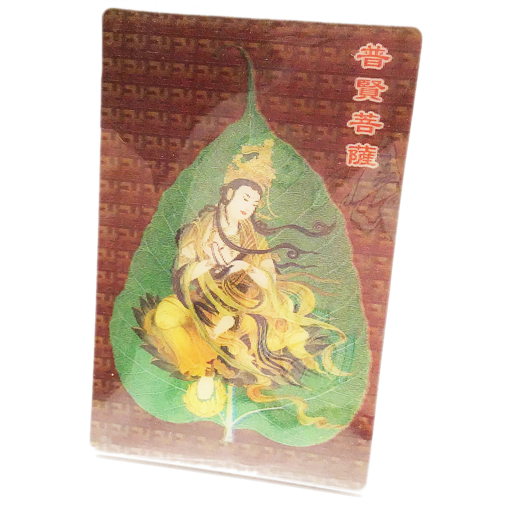 一葉觀音 3D卡5X9cm【十方】148469