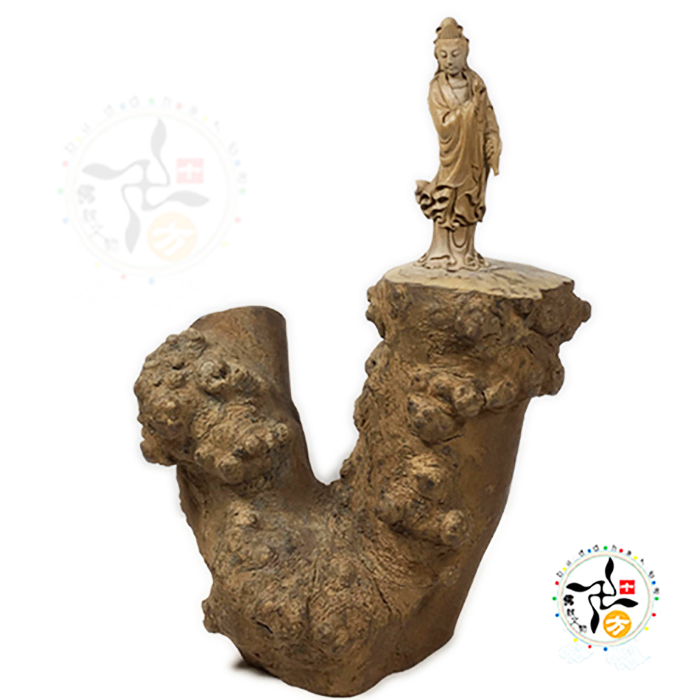 白衣觀音{50年以上茶樹瘤}木雕精品26公分【十方】120290