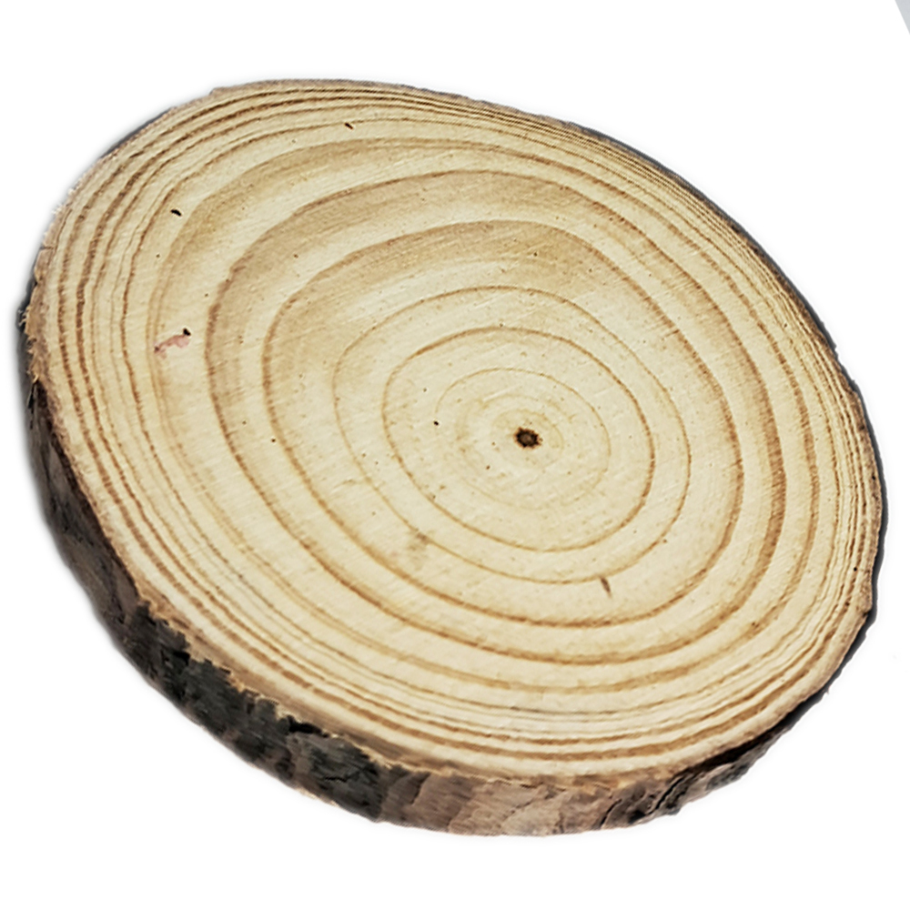 原木片7*1公分【十方】152616