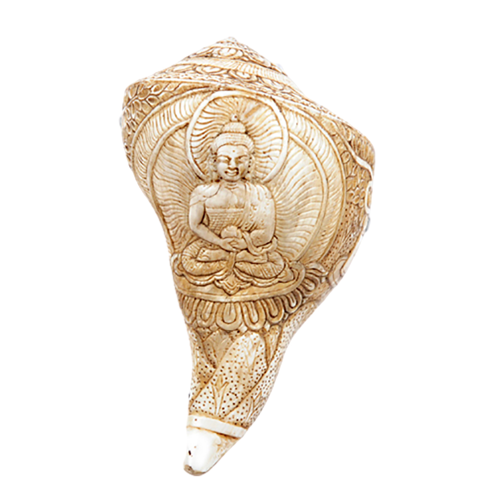 佛陀精雕{左旋螺}法螺【十方】139195