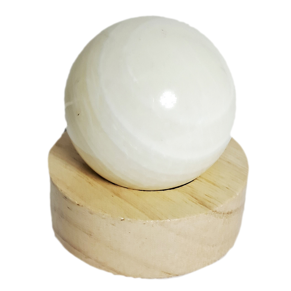 硨磲5公分& led燈座【十方】152474