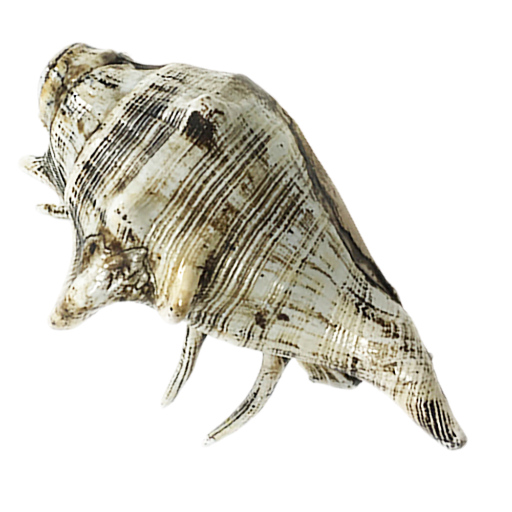 法螺12公分【十方】126211