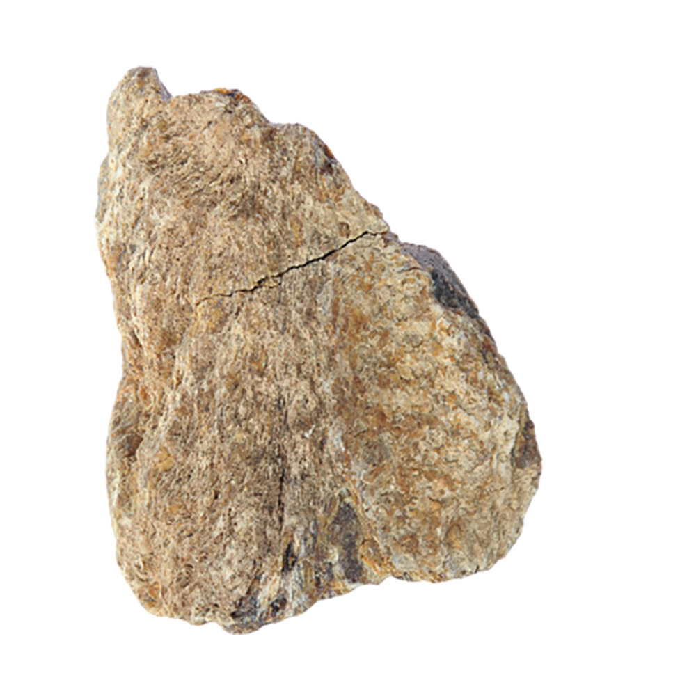 頂級帶皮琥珀原礦擺飾{開運鎮宅} 296g【十方】134864