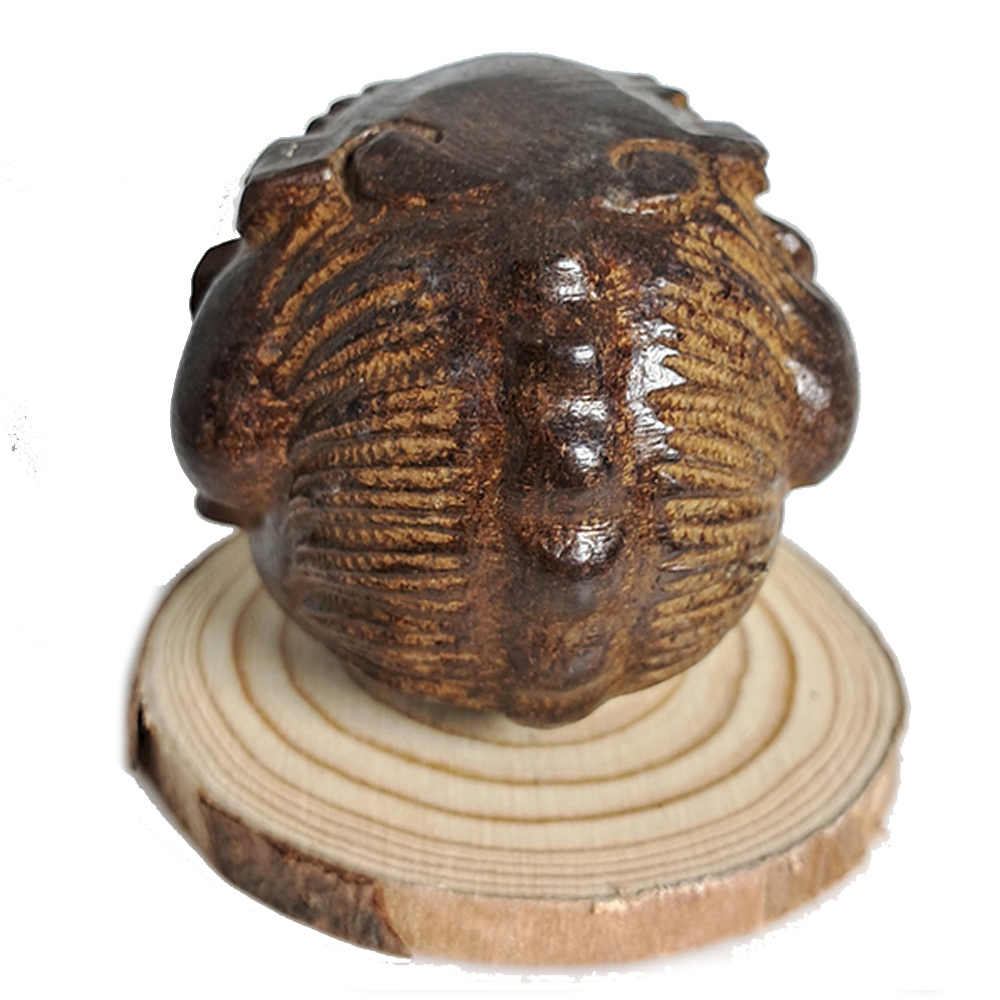 麒麟{土沉木}【十方】135321