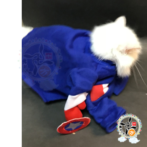 超人藍色厚棉寵物衣服#12【十方】147280