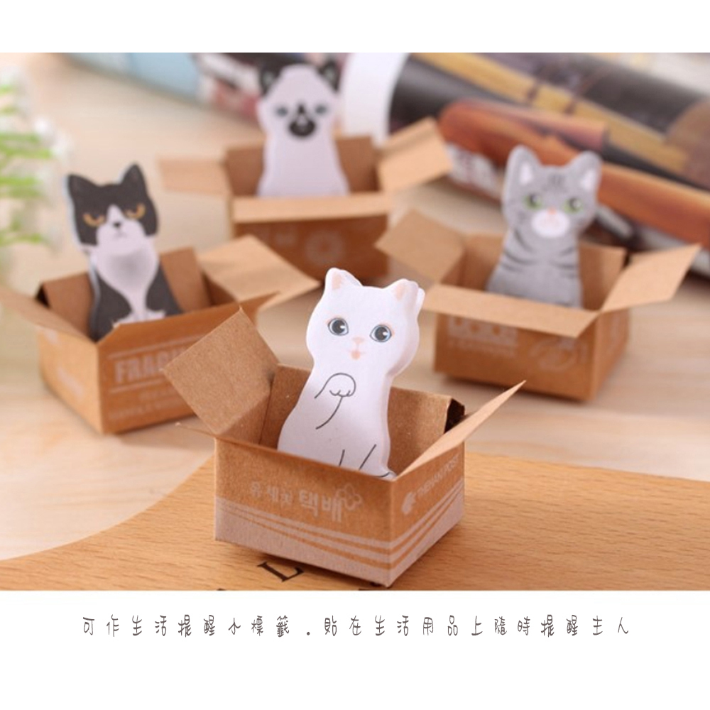 灰貓坐紙箱 創意便利貼【十方】149554