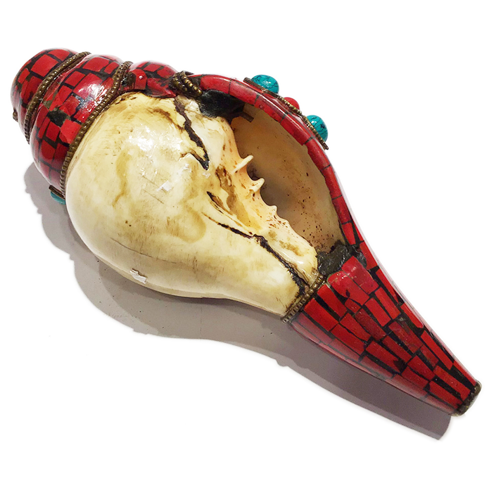 六字真言鑲紅珊瑚法螺【十方】150696