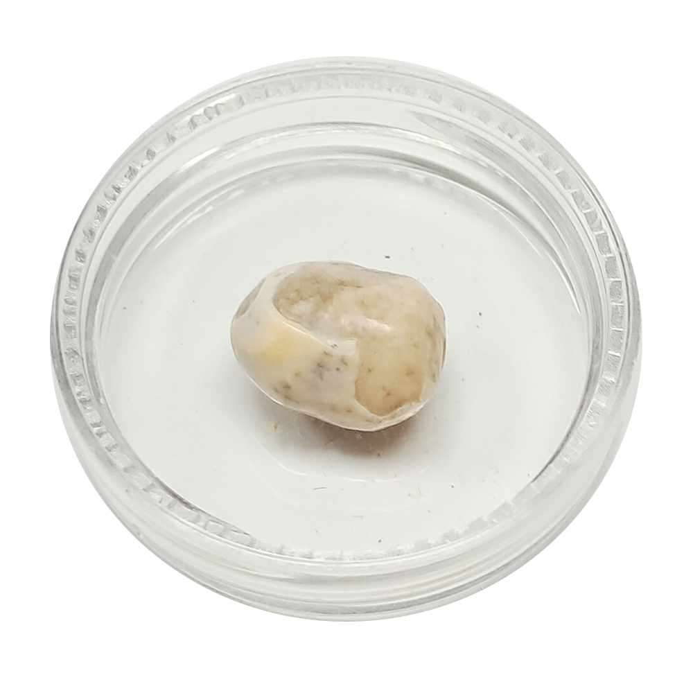 跳出舍利龍宮舍利8mm【十方】151929