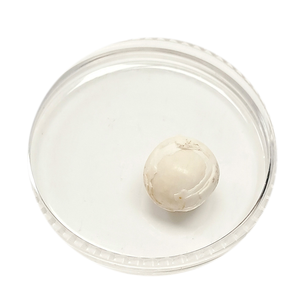 跳出舍利龍宮舍利8mm【十方】151926