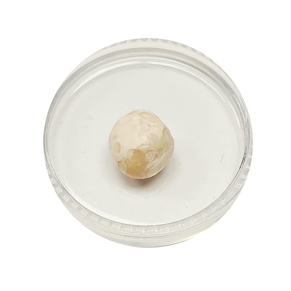 跳出龍宮舍利9mm【十方】151934