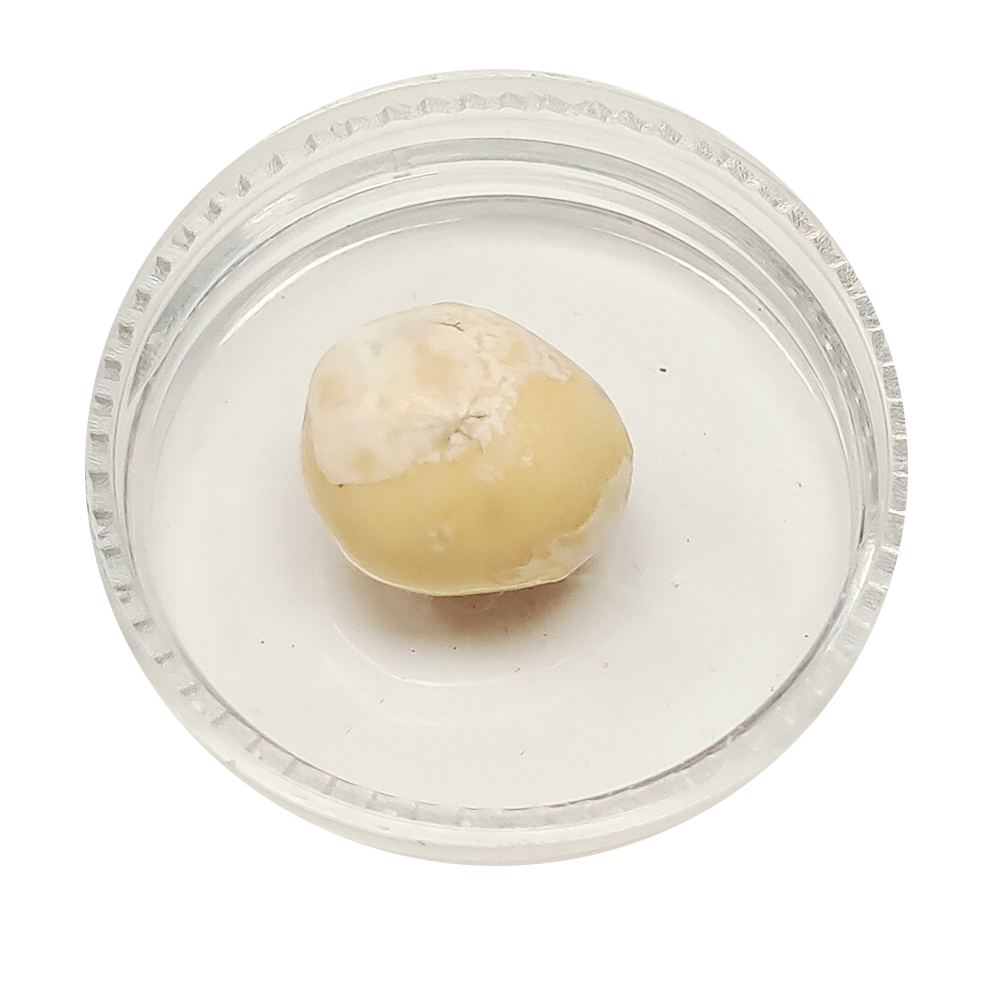 跳出舍利龍宮舍利11mm【十方】151930