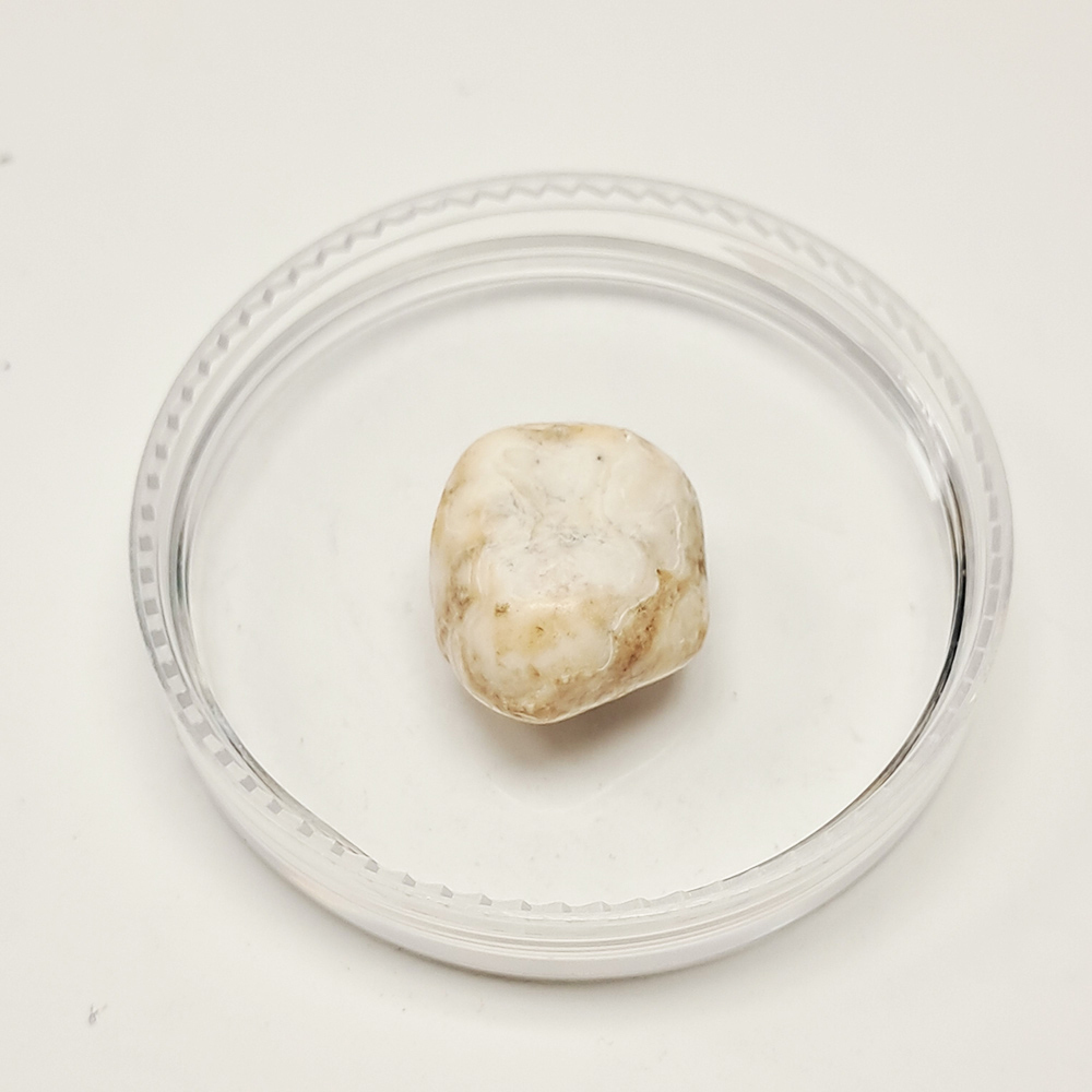 跳出龍宮舍利8mm【十方】151944