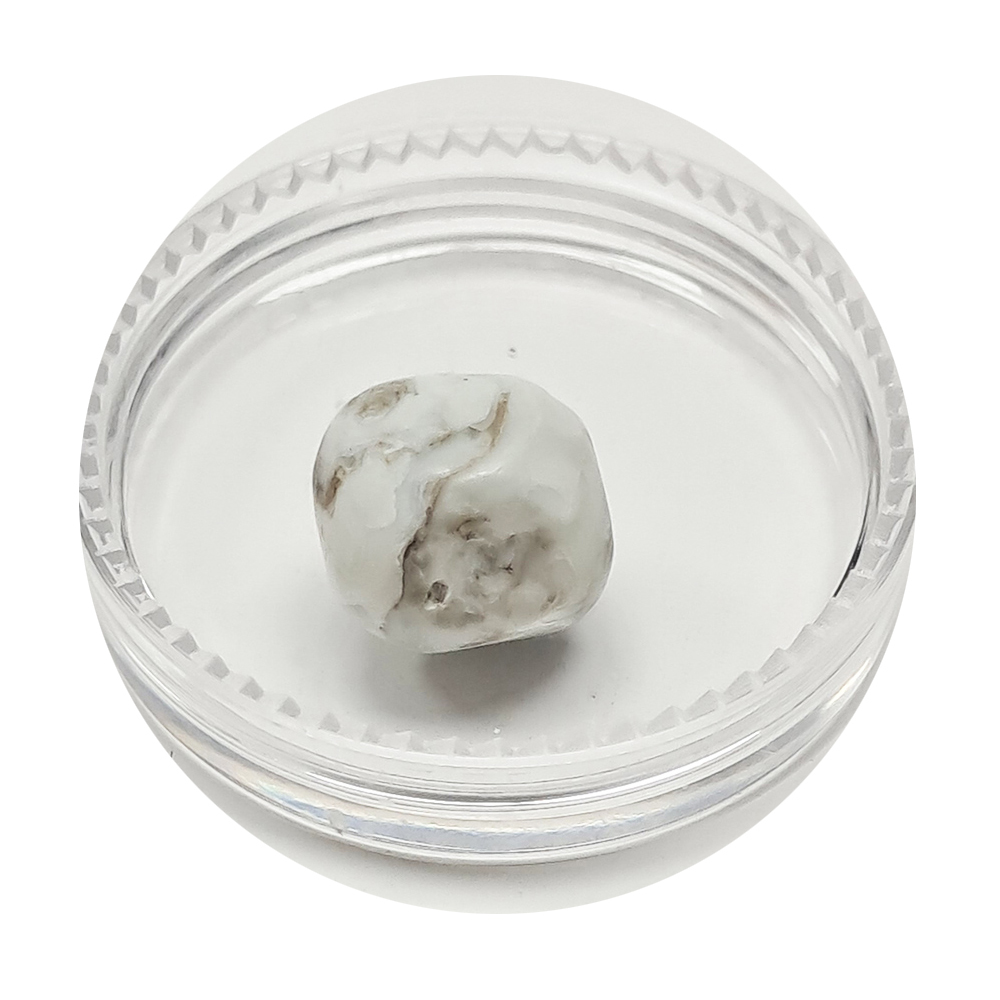 跳出龍宮舍利10mm【十方】151931