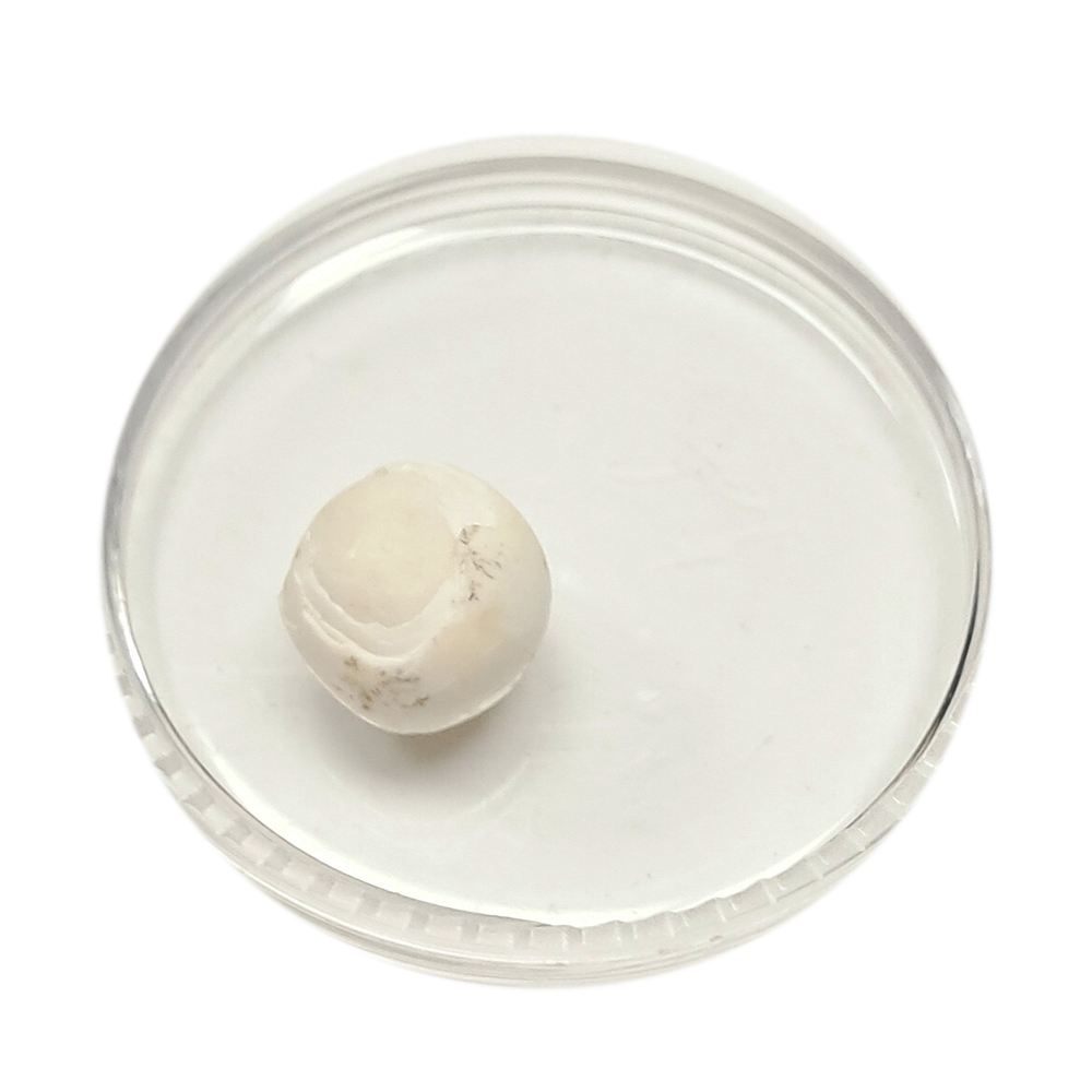 跳出舍利龍宮舍利8mm【十方】151926