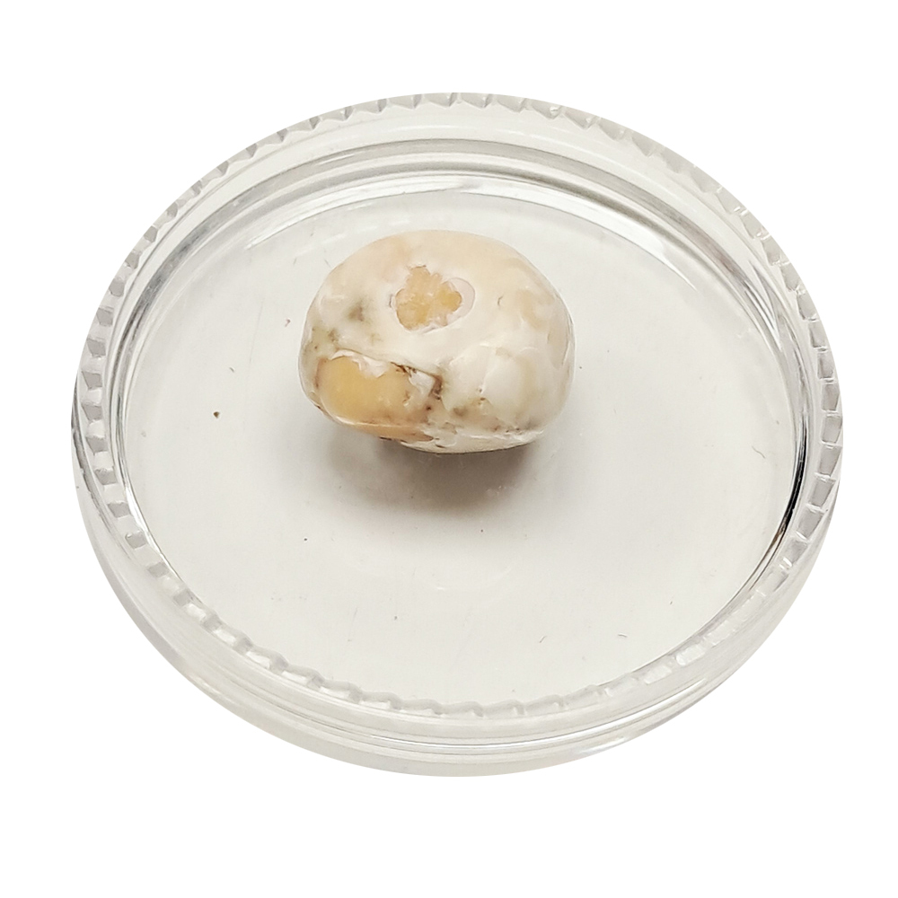 跳出龍宮舍利12mm【十方】151932