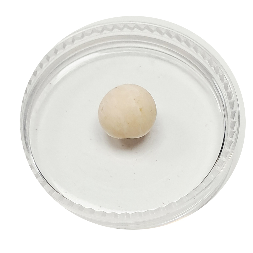 跳出舍利龍宮舍利8mm【十方】151928