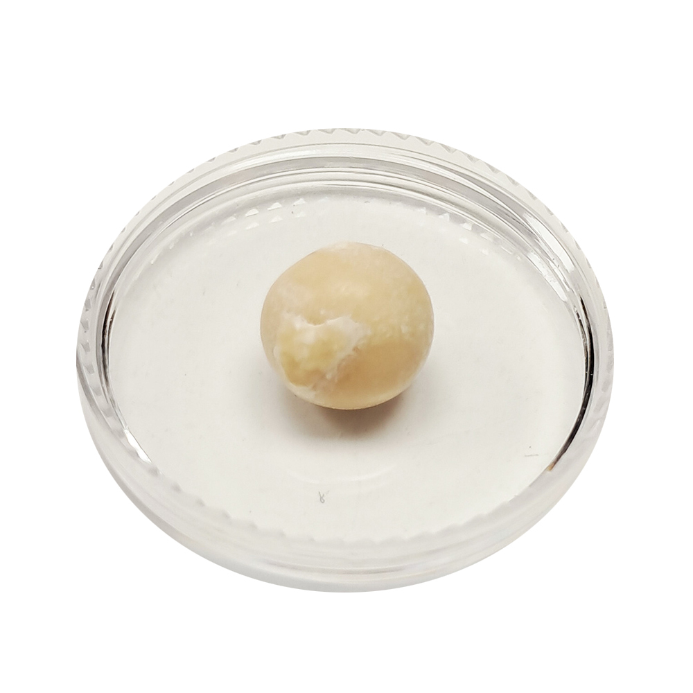 跳出龍宮舍利12mm【十方】151943