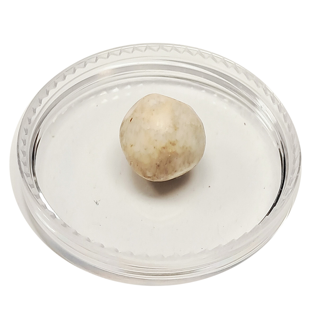 跳出龍宮舍利13mm【十方】151942