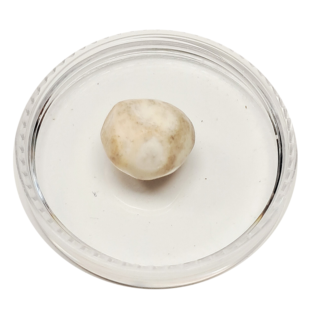 跳出龍宮舍利13mm【十方】151942