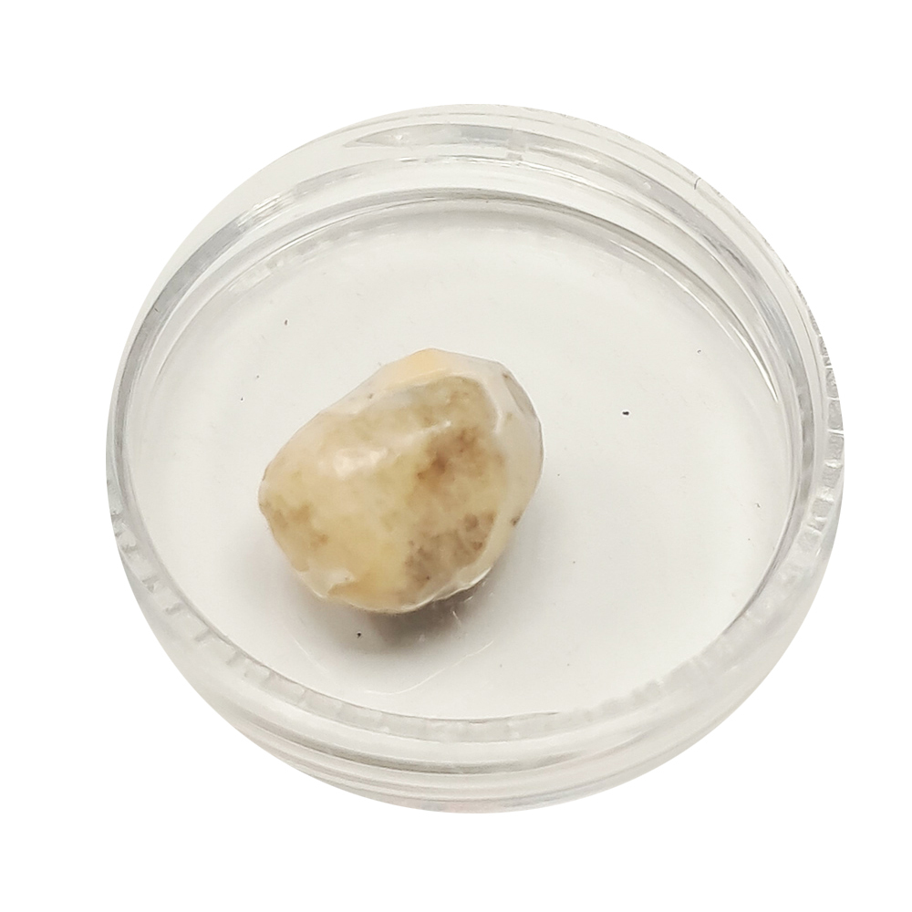 跳出舍利龍宮舍利8mm【十方】151929