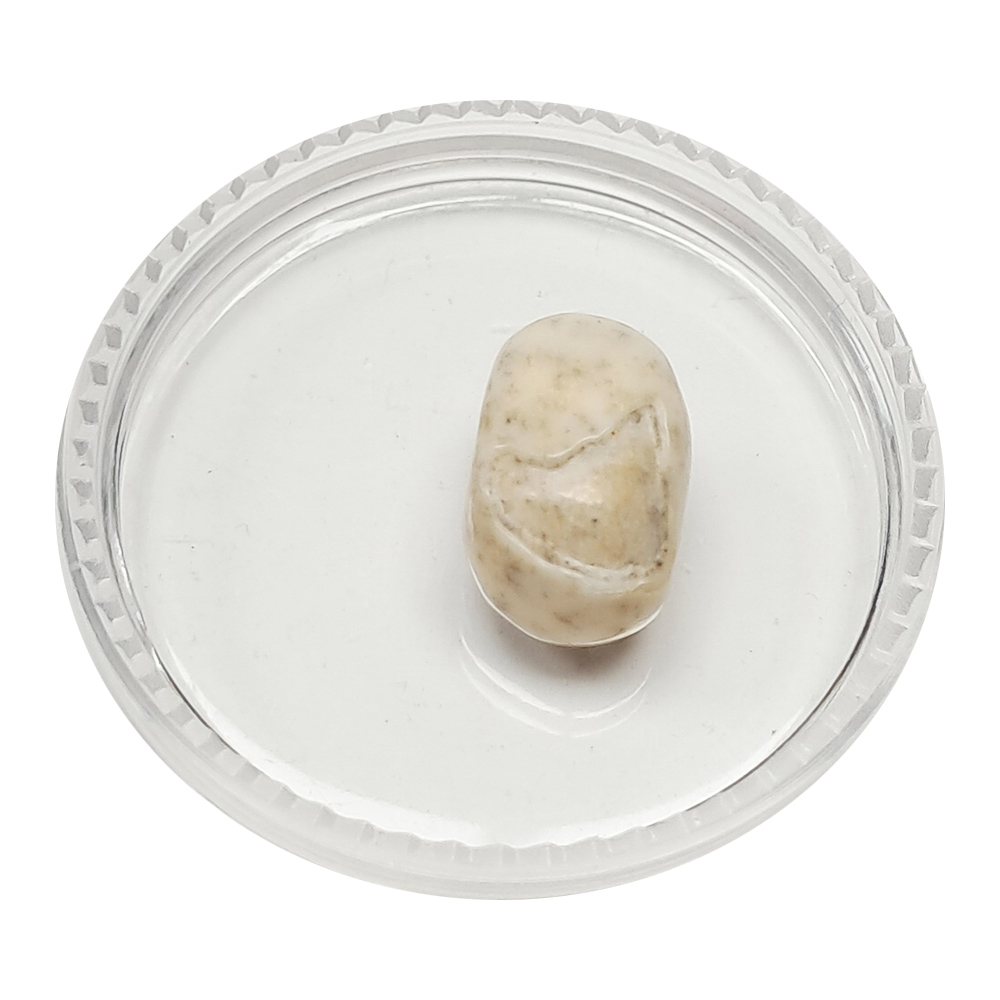 跳出龍宮舍利12mm【十方】151939