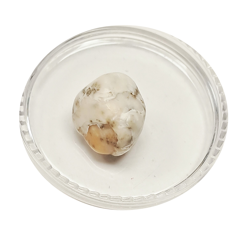 跳出龍宮舍利12mm【十方】151932