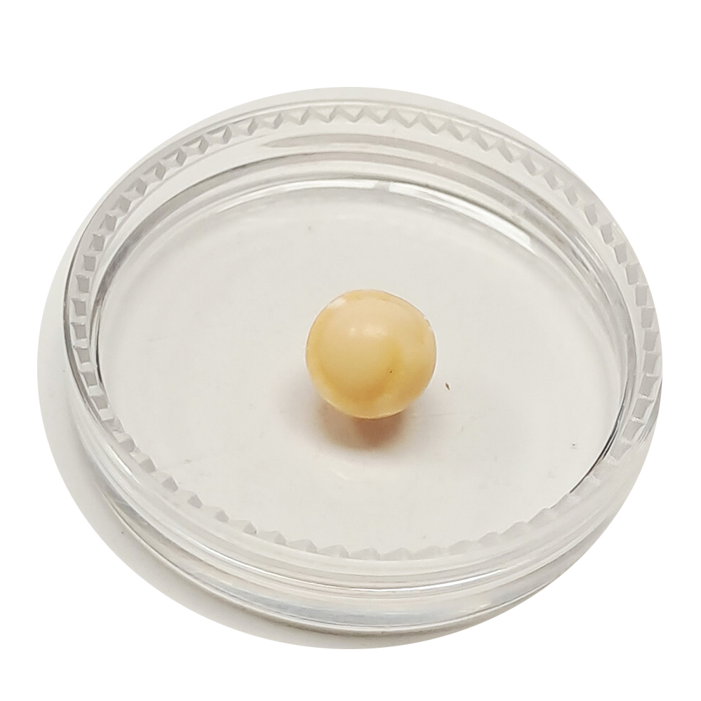 跳出龍宮舍利8mm【十方】151941