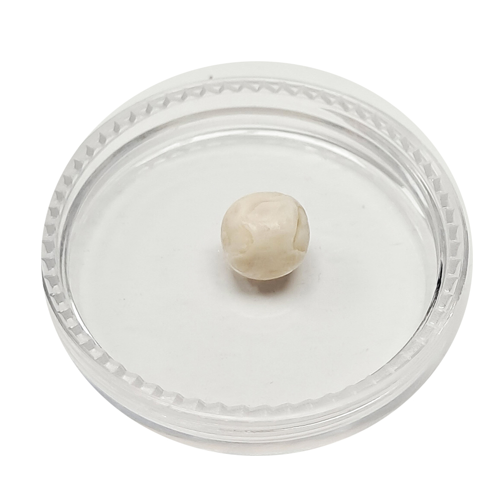 跳出龍宮舍利8mm【十方】151940