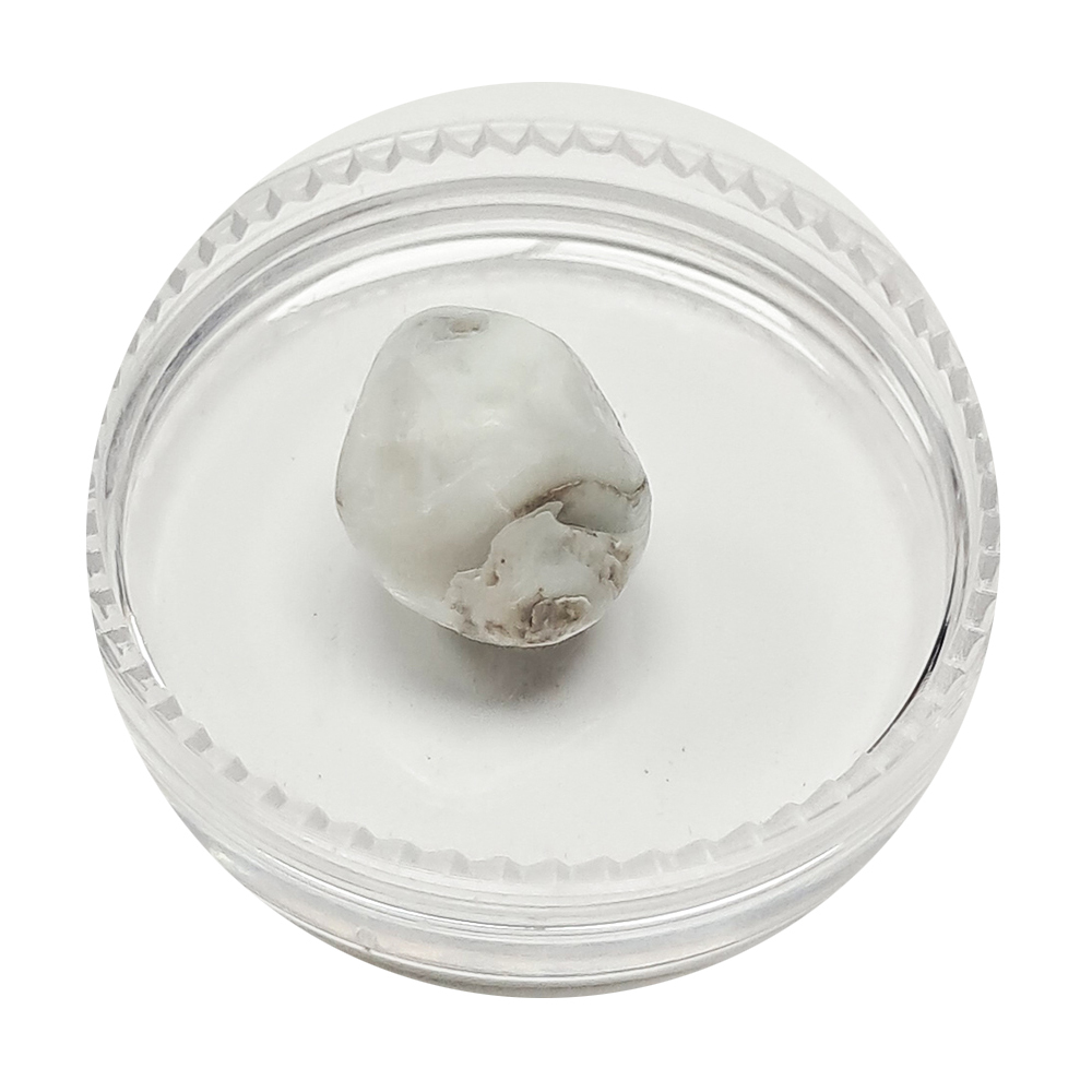 跳出龍宮舍利10mm【十方】151931