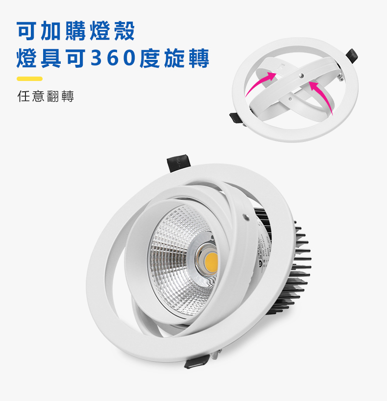 AR111模組光源 可360度旋轉